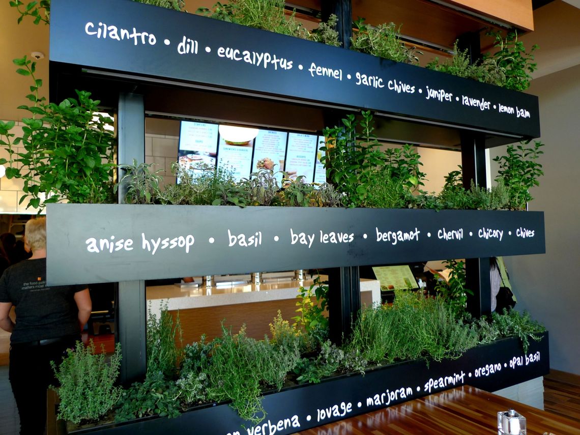 lyfe kitchen tarzana ca 5