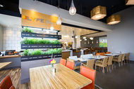 lyfe kitchen henderson nv 1 thumb