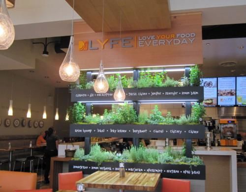 lyfe kitchen tarzana ca 1